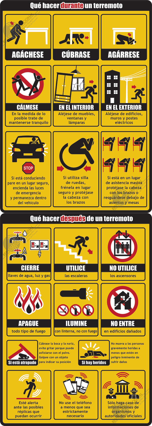 durante un terremoto