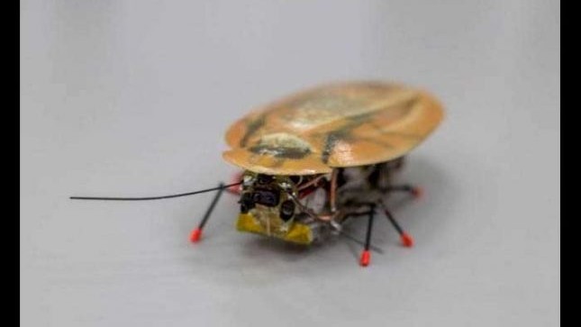 271447_grande_fyJ83FKU